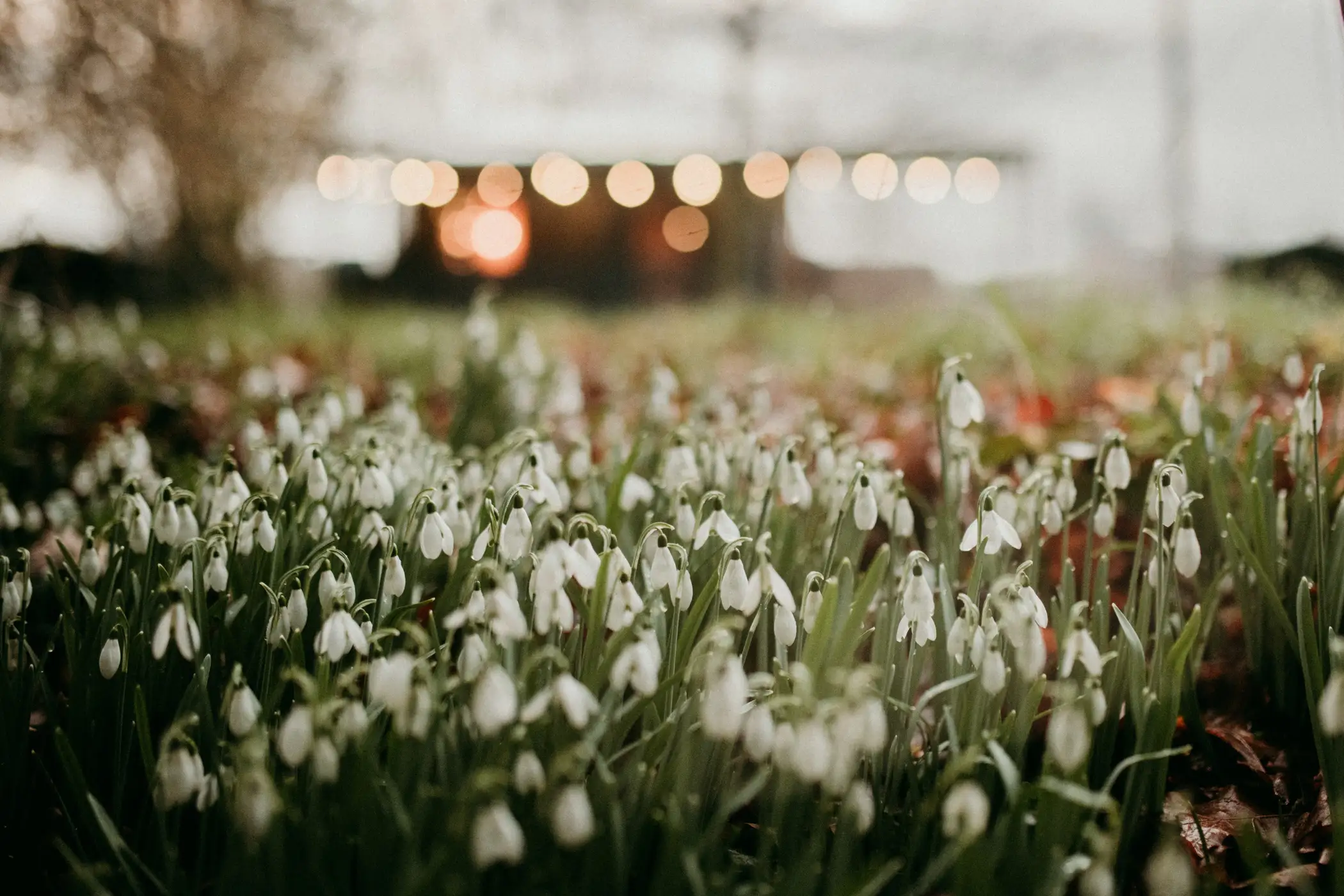 Cottage for 2 people in Dalhem Ô NaNo